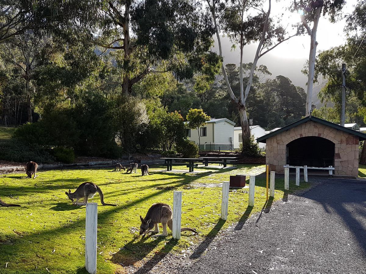 Breeze Holiday Parks - Halls Gap Eksteriør bilde