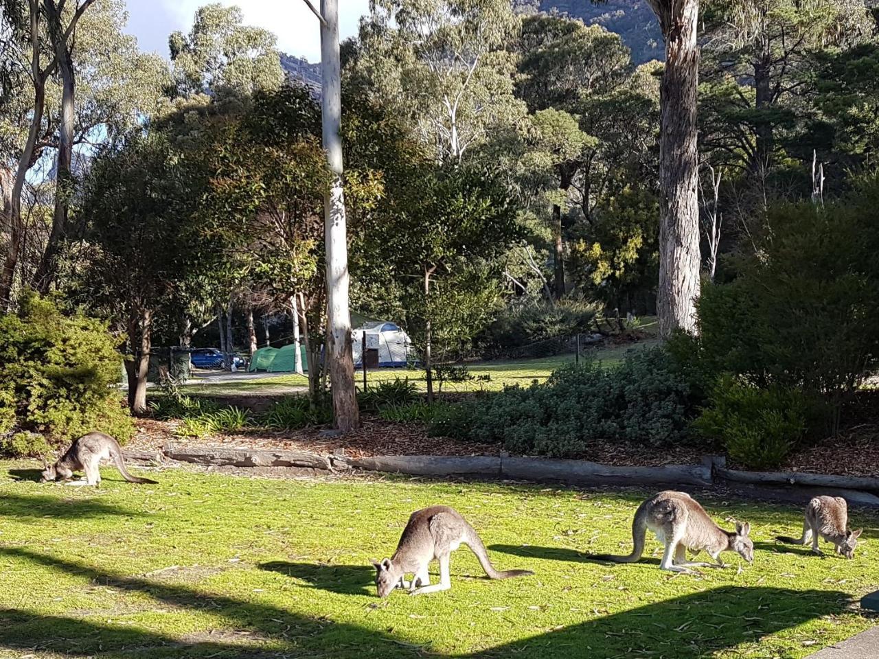 Breeze Holiday Parks - Halls Gap Eksteriør bilde