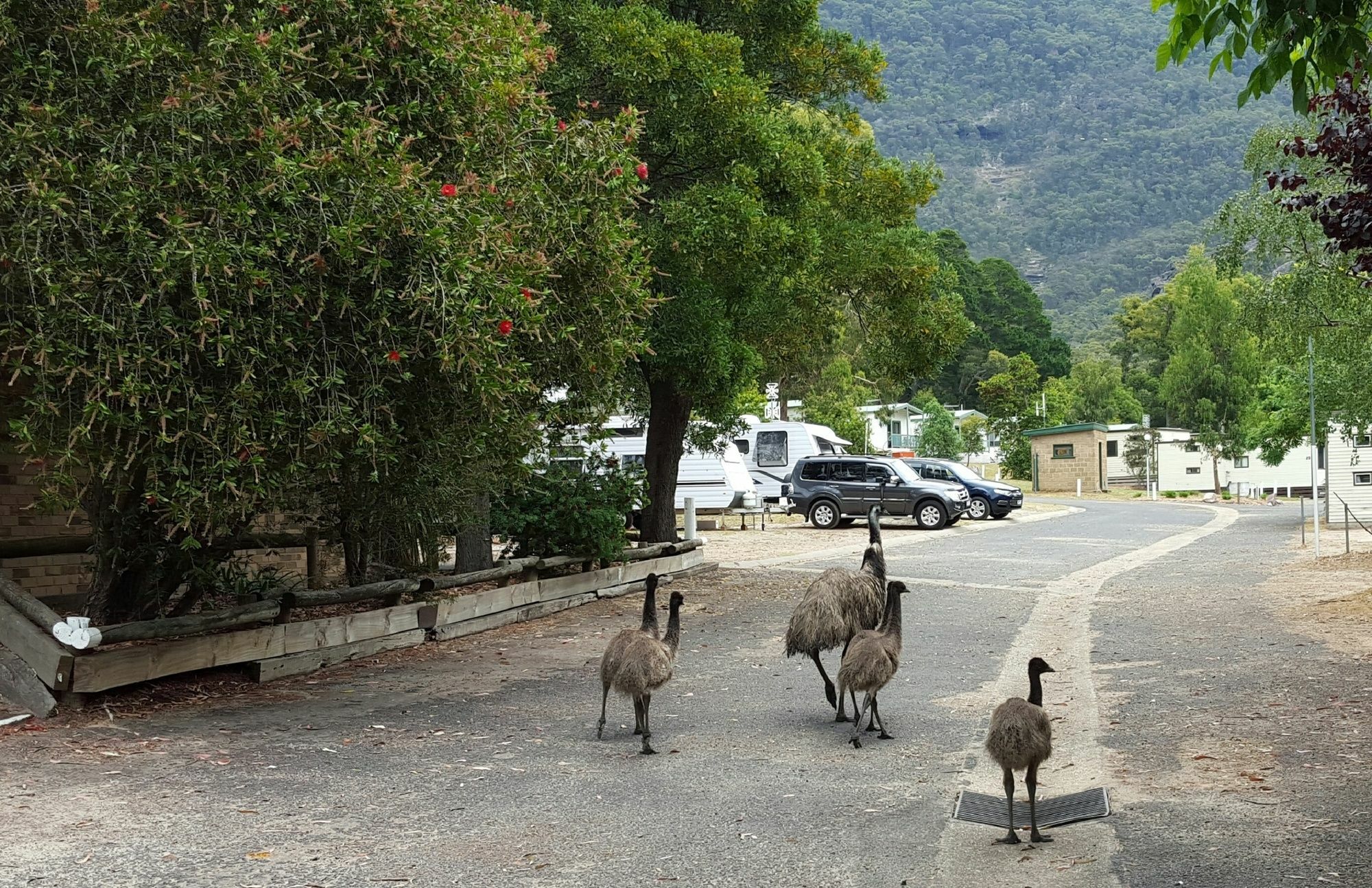 Breeze Holiday Parks - Halls Gap Eksteriør bilde